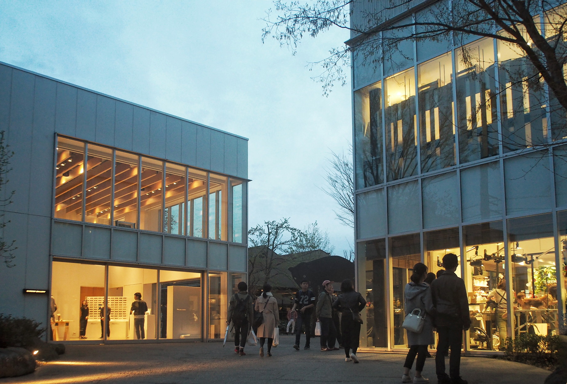 Daikanyama T-SITE at night
